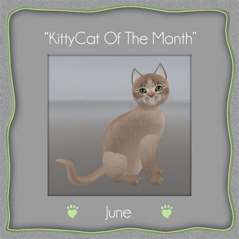 All about KittyCatS! in Second Life